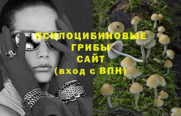 jwh Горно-Алтайск