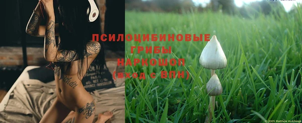 МДМА Горнозаводск