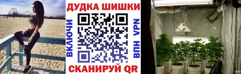Бошки Шишки Amnesia Хадыженск