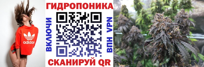 МАРИХУАНА OG Kush  Купить где  Хадыженск 